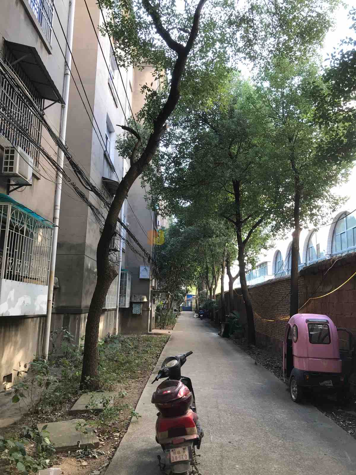 江大南路纺织品宿舍二手房出售