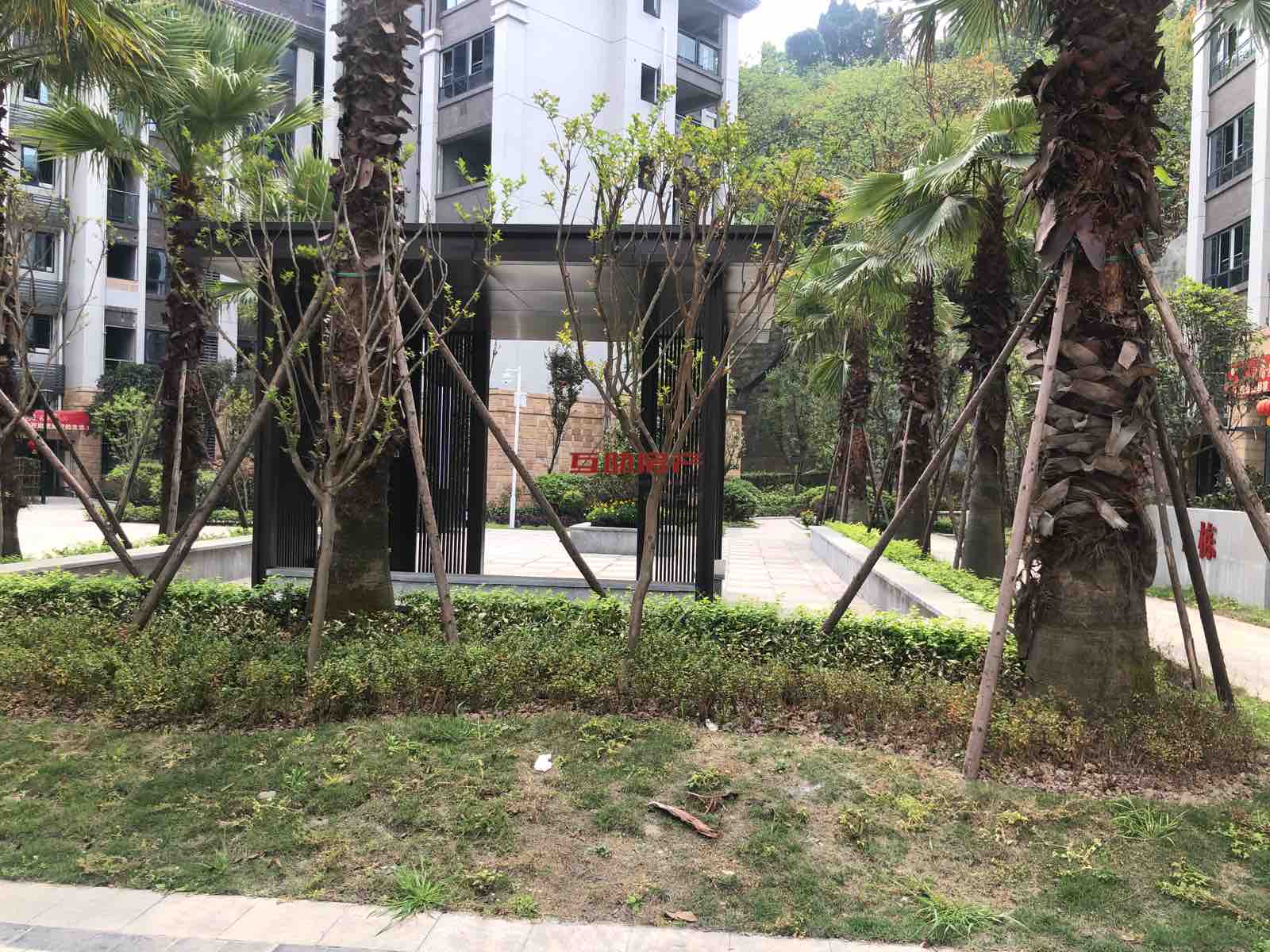 雄飞云庭,雄飞云庭3室2厅2卫3阳台107㎡ 带超大入户花园4