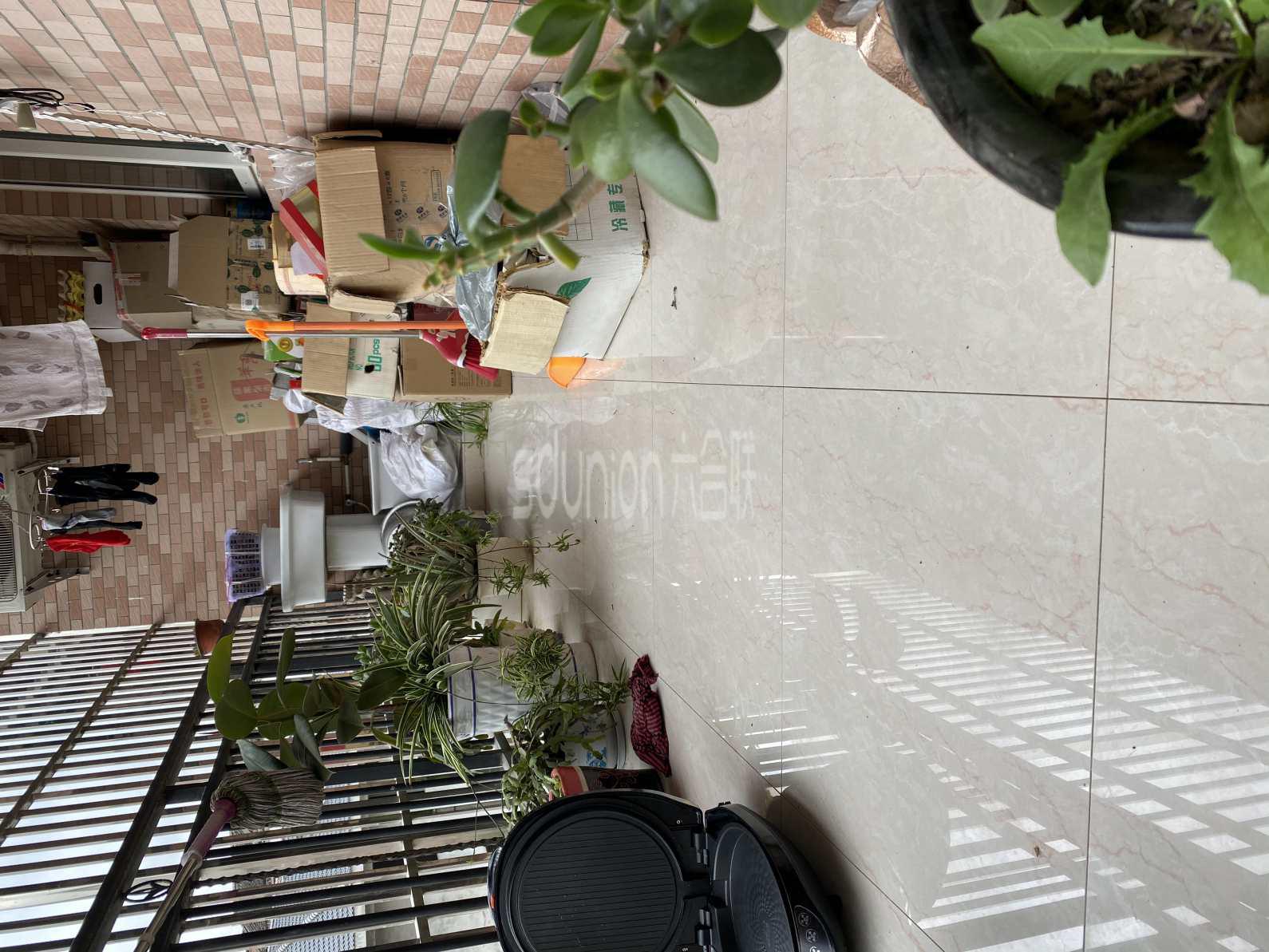 洋州明珠,洋州明珠,真诚急售,潜质无限!10