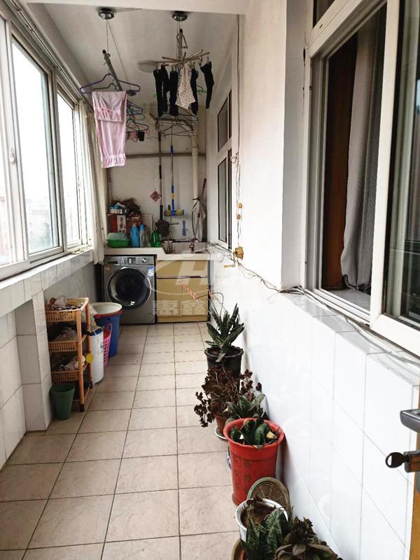 东坡小区,密州路校区 东坡小区93万正房146车35南厅双卫套三三楼12
