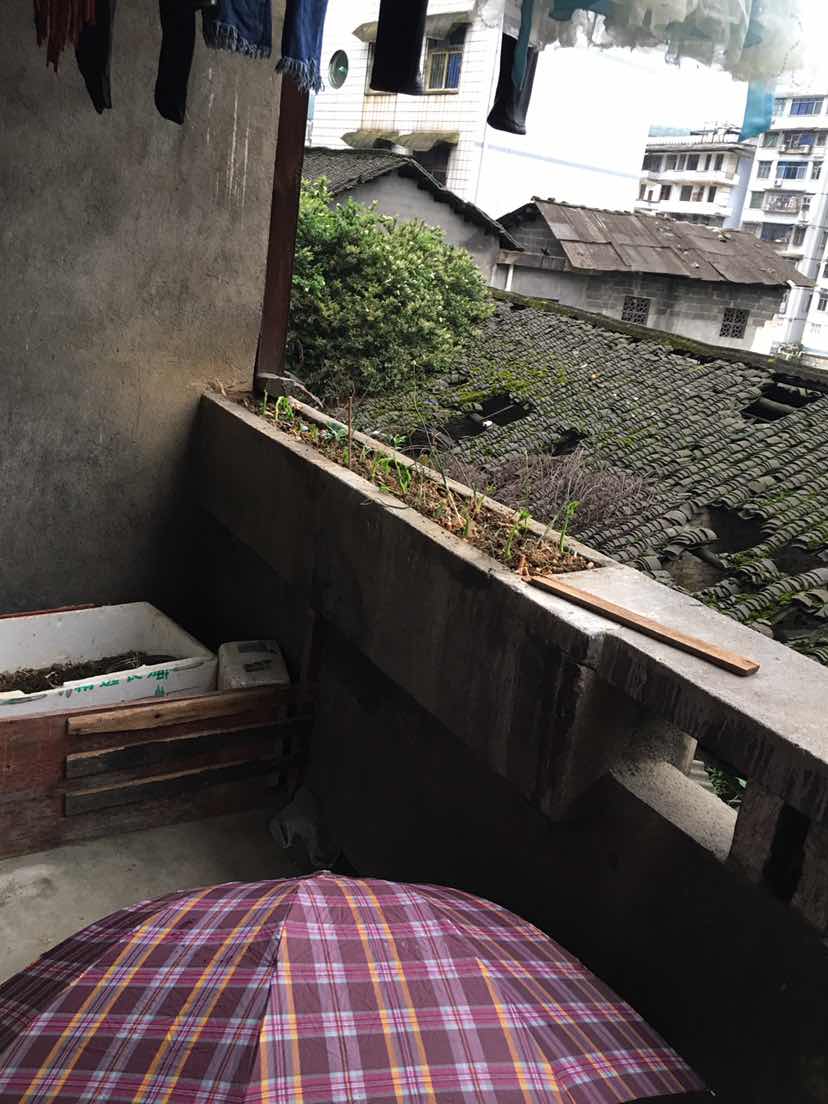 一中学校,一中宿舍54平米两房23出售3