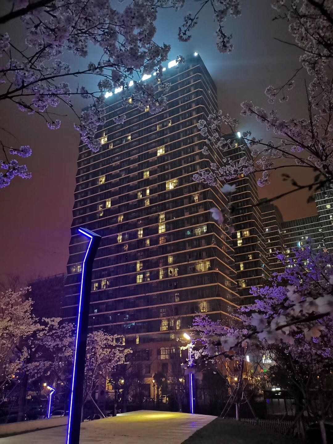 ,,中港白金大厦