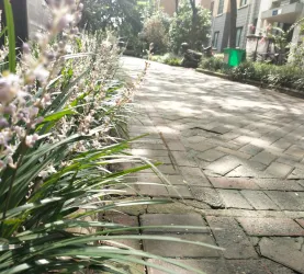 召陵区-城东-上城公馆