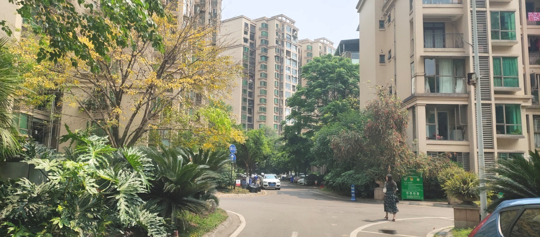 滨湖国际社区,滨湖国际毛坯带花园,面积182㎡,欢迎品鉴6