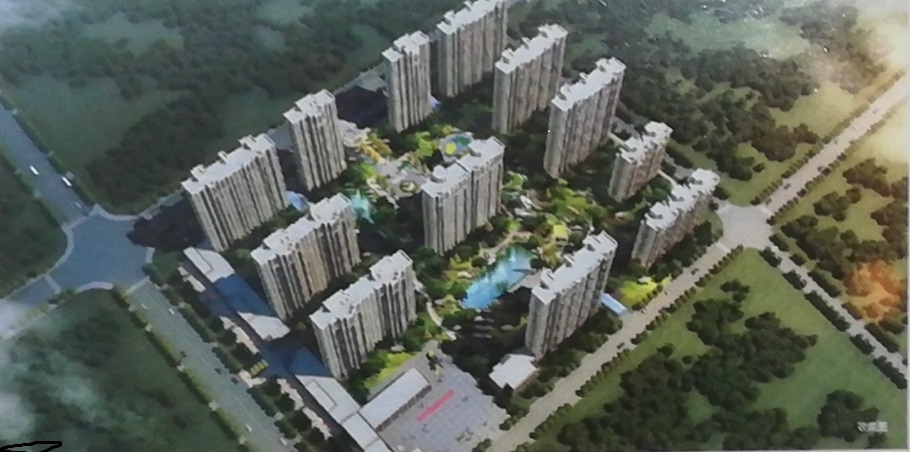 ,,金鼎绿城四期