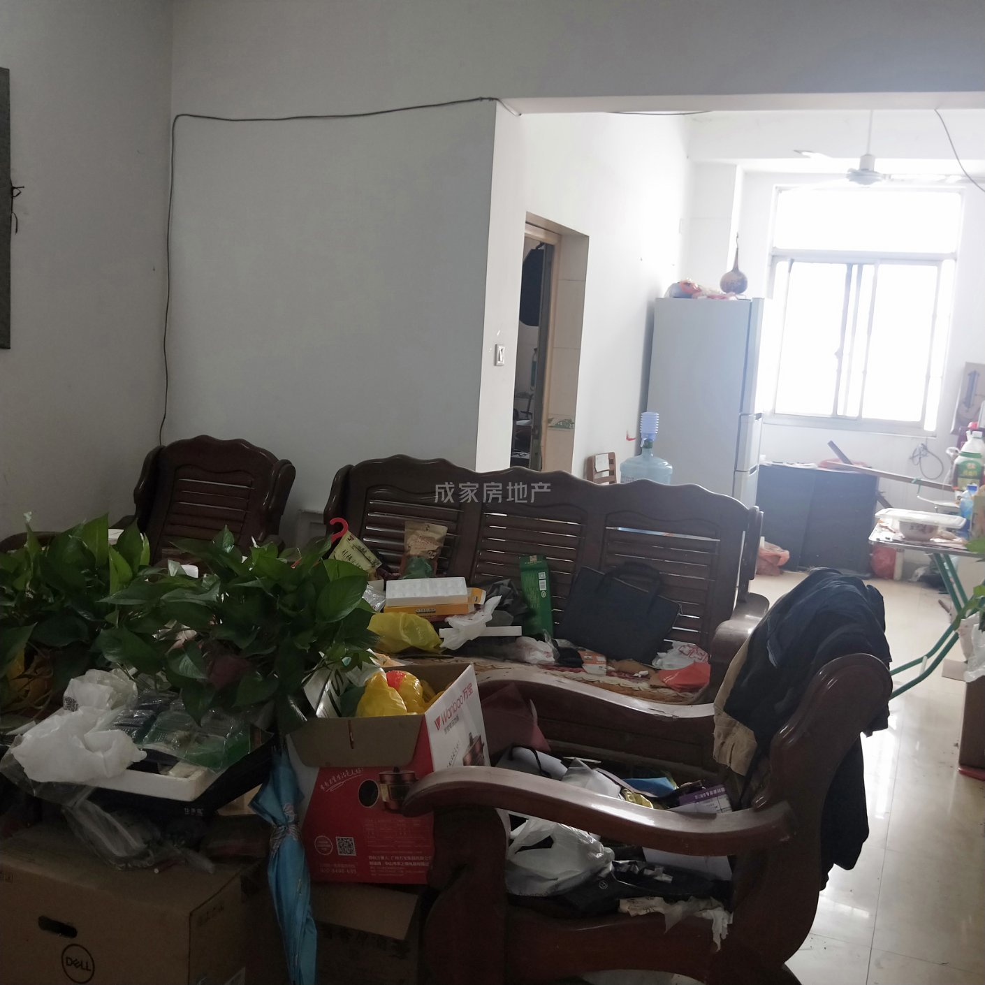 港中花鸟古玩市场,高铁站附近 信息待落实2