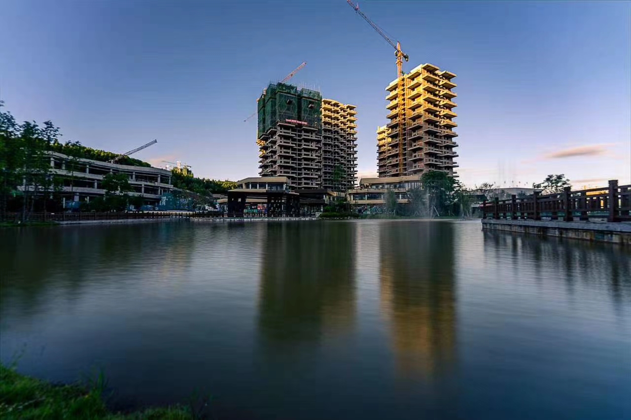 ,,国力花海森林