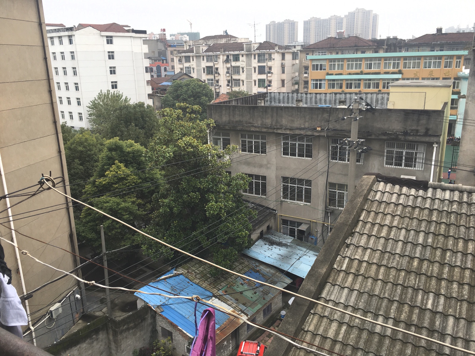 关厢门14号,一小四中学驱关厢门14号 实际75平 老证12