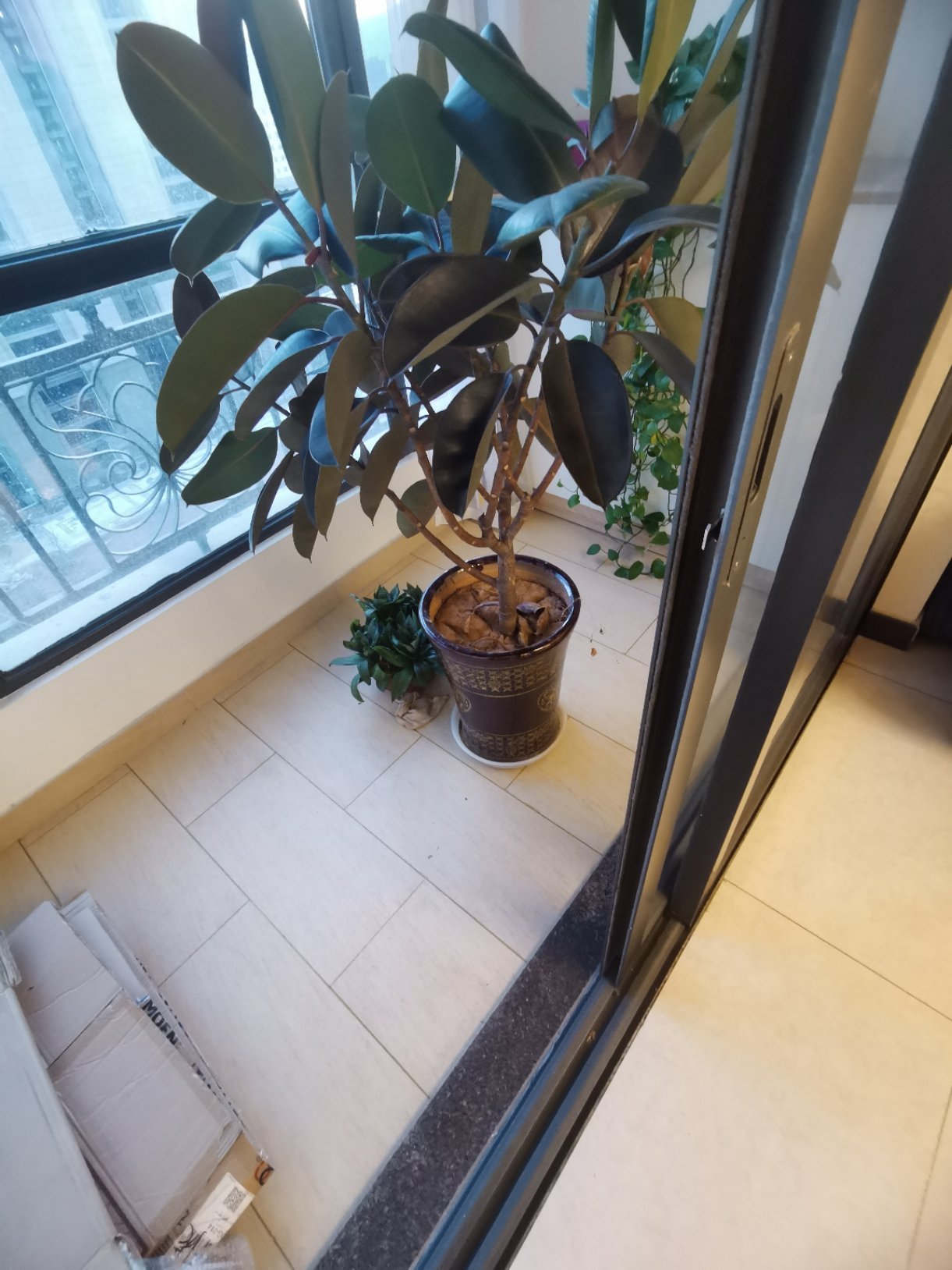 恒大帝景,恒大帝景 精装修婚房6