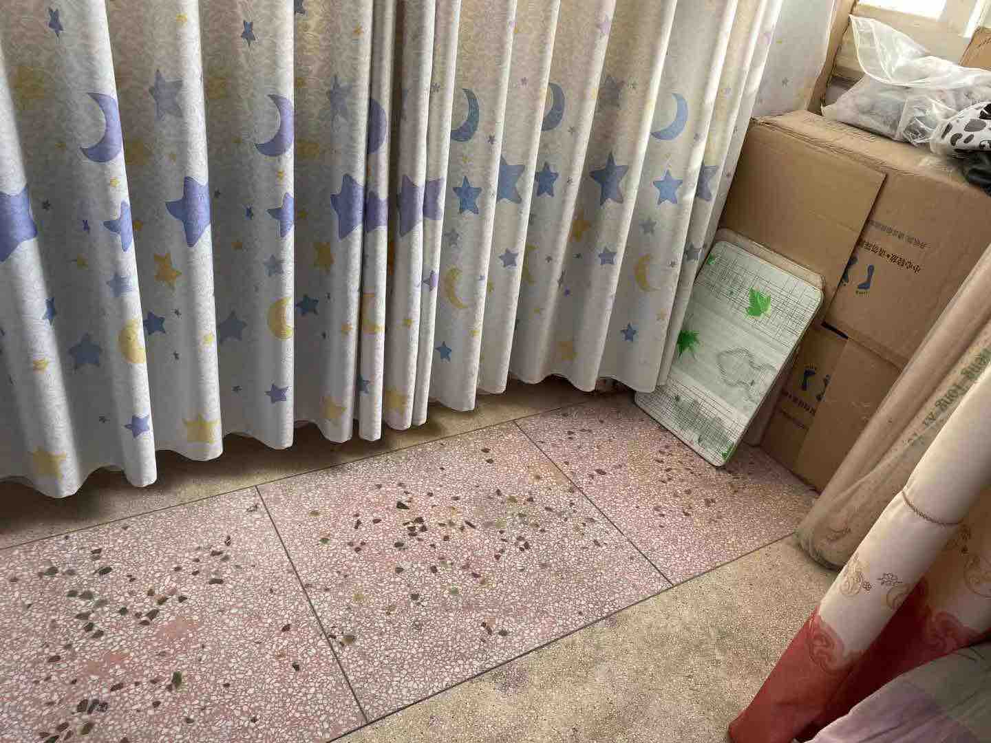 阳光小区,定好家689八一路附近两室一厅一卫100平 采光好 楼层低4