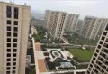 绿城桃李春风小区图片7