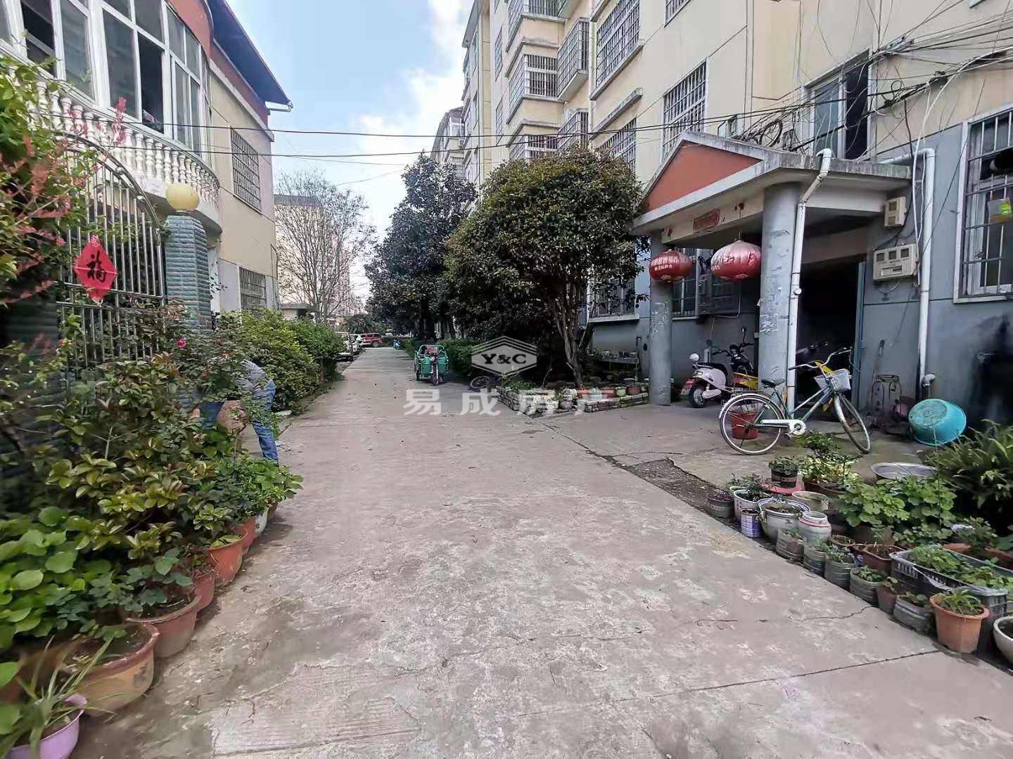 龙祥新城,普通户型——享受无限阳光生活3