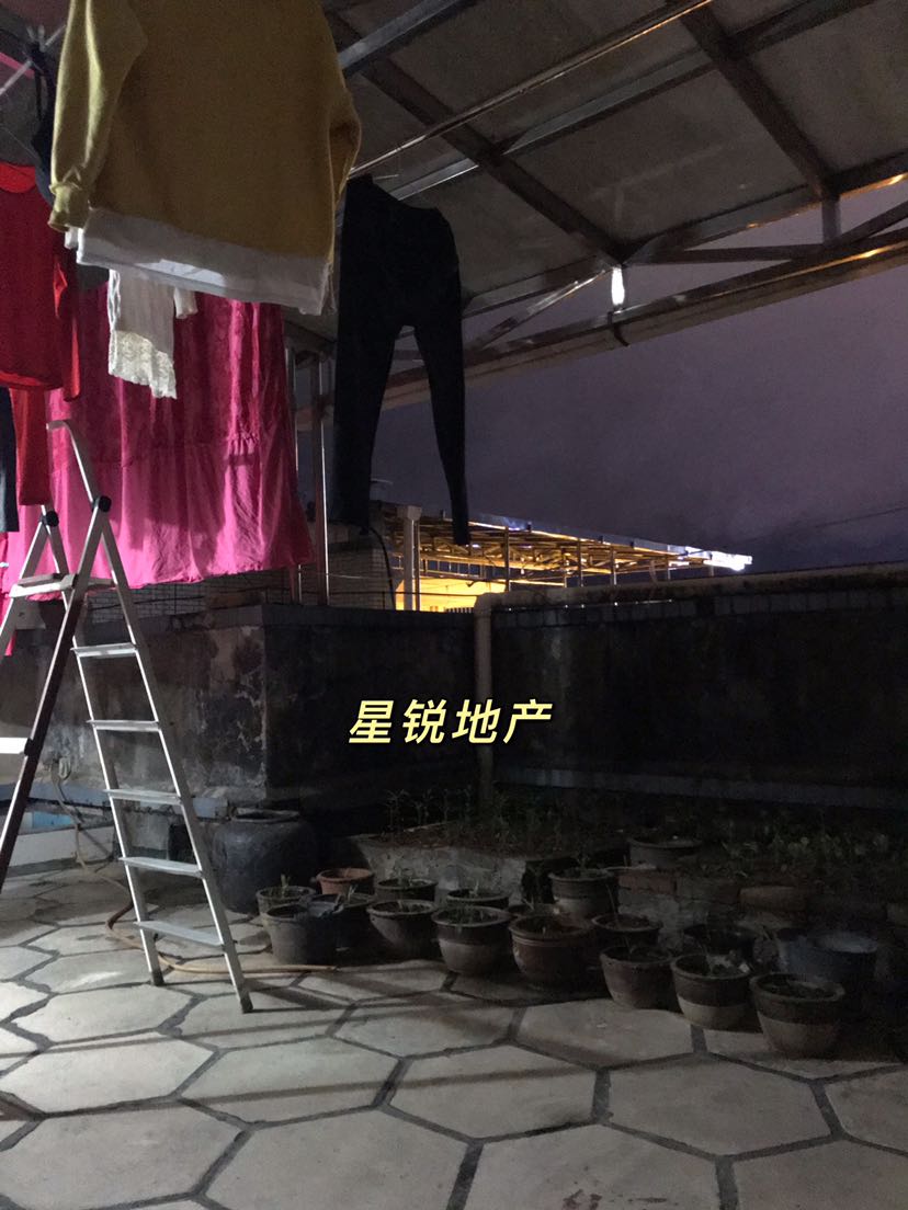竹园小区,竹园小区,河景房,送8楼8