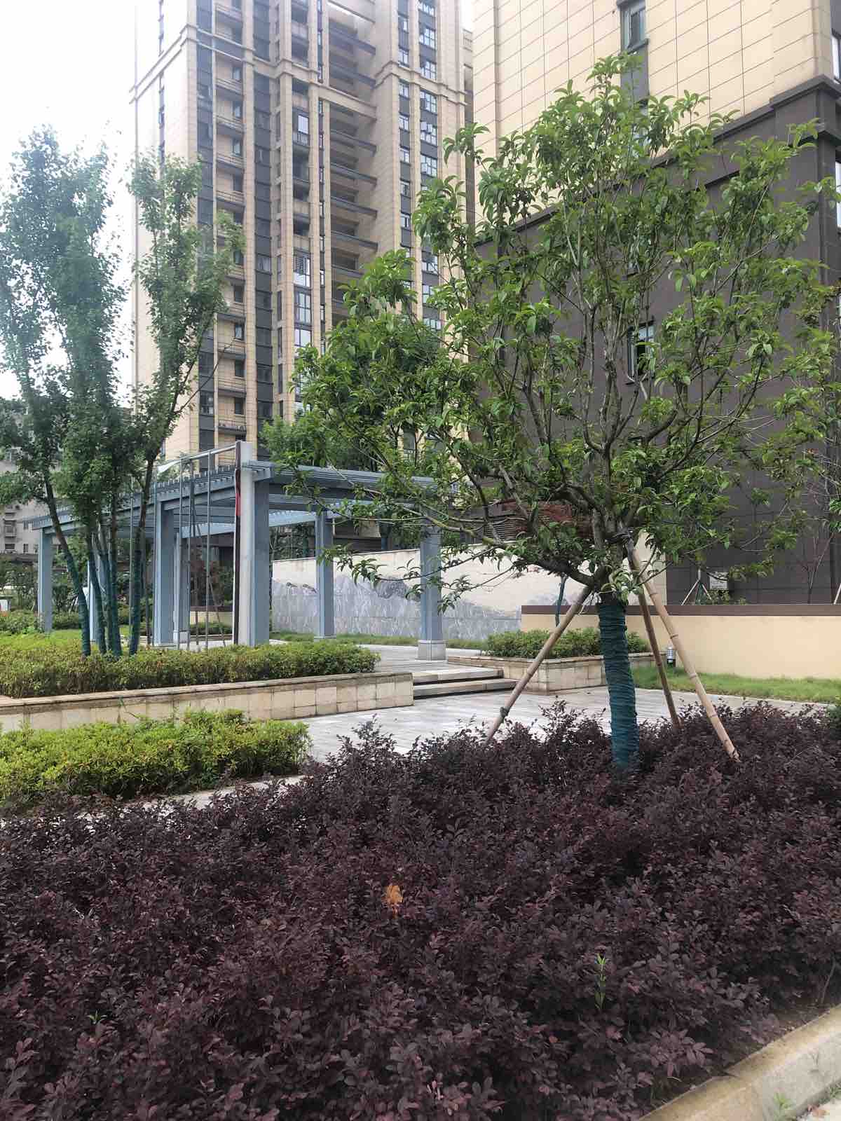 力生壹号院,力生壹号院121㎡精装未入住92万13