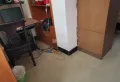 南京东路兽药监察所宿舍 1室1厅1卫1阳台10