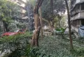 经典白果小区4室2厅2卫1阳台!精装修!两证齐全!14