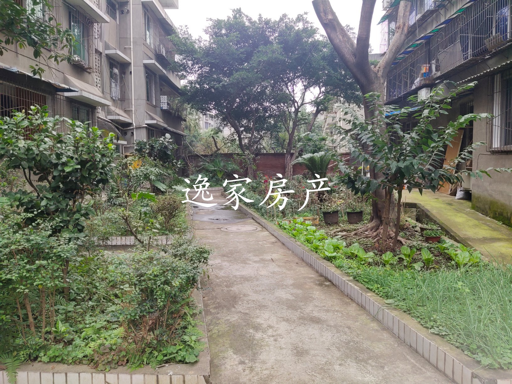杨公堰,大户型,带一百多个平方的楼顶花园8