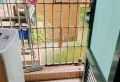 1室1厅1卫0阳台1000元/月正规高性价比,你好选择7