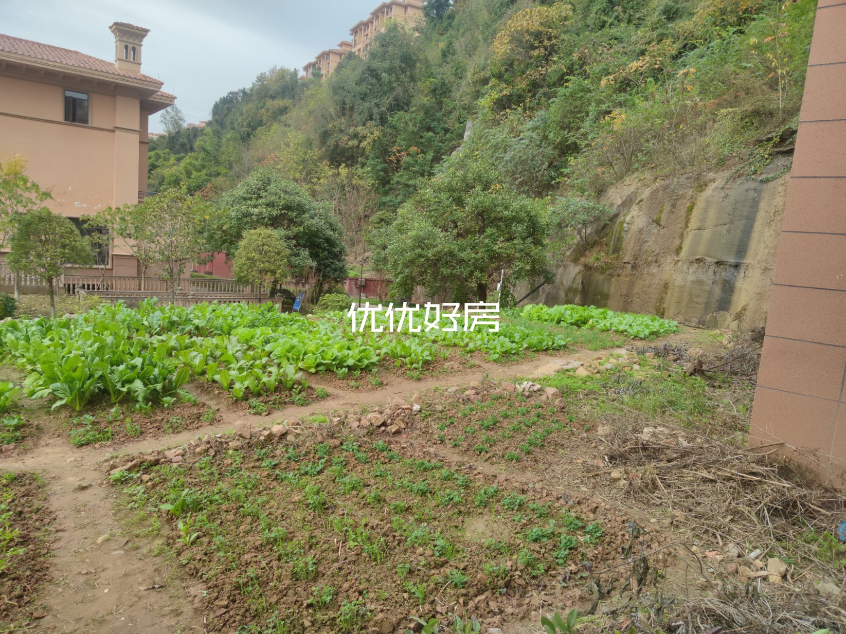 半山逸城B区二手房出售