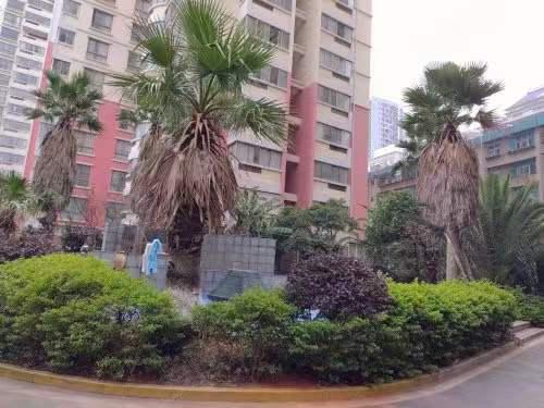 福麟尚居,城中区医院旁福麟尚居三室两厅一卫出售11