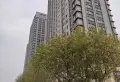 锦东圣苑.全新精装三房带全新家具家电出租拎包入住16
