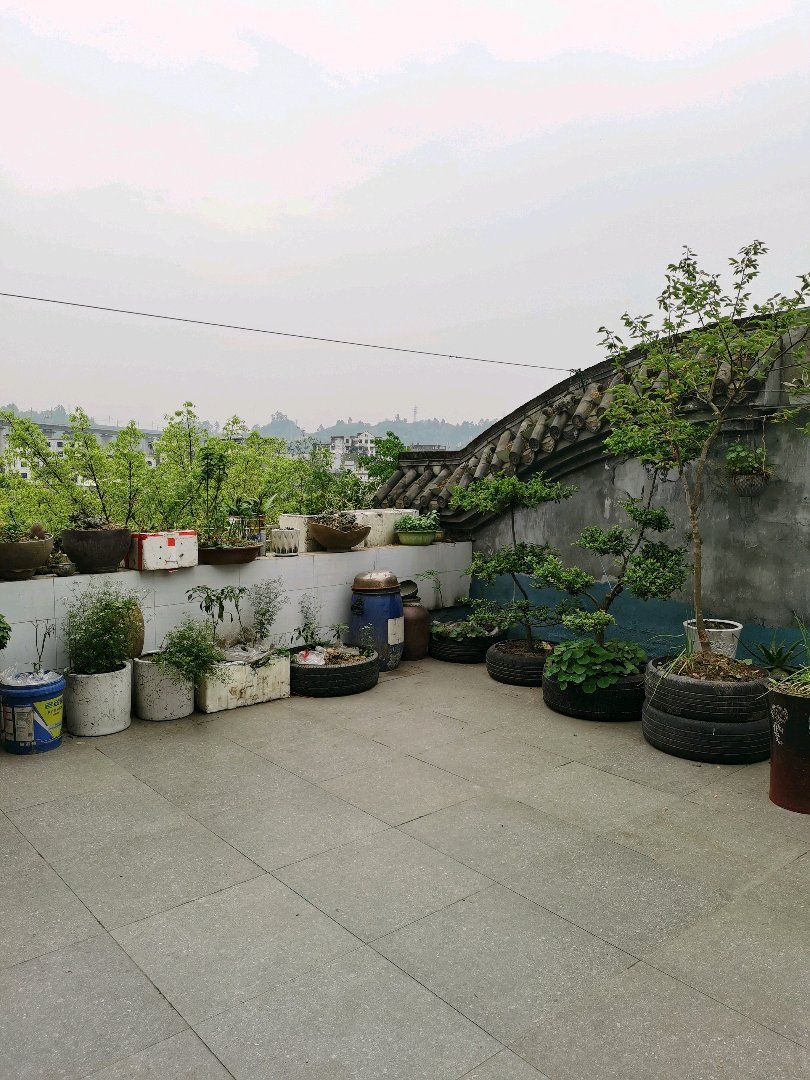 大自然水村,大自然水村大户型精装五室两厅两卫11