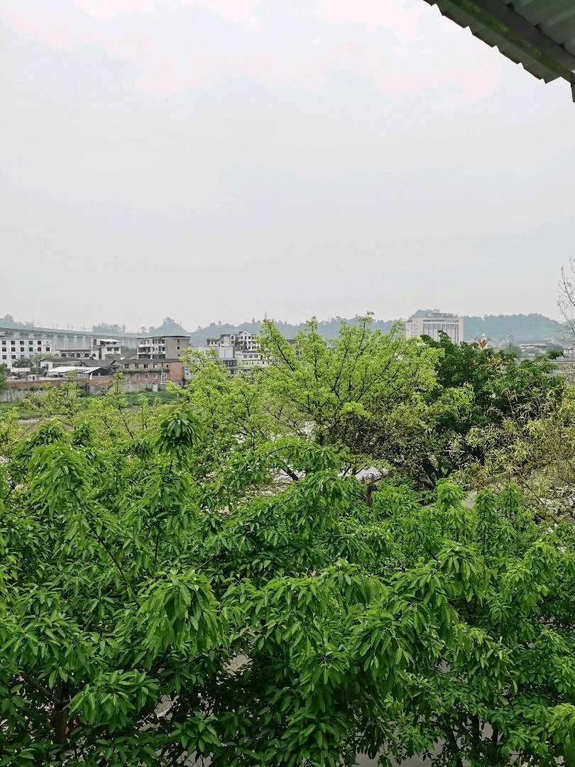 大自然水村,大自然水村大户型精装五室两厅两卫16