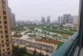 简单装修 价格便宜 双朝南位置好4