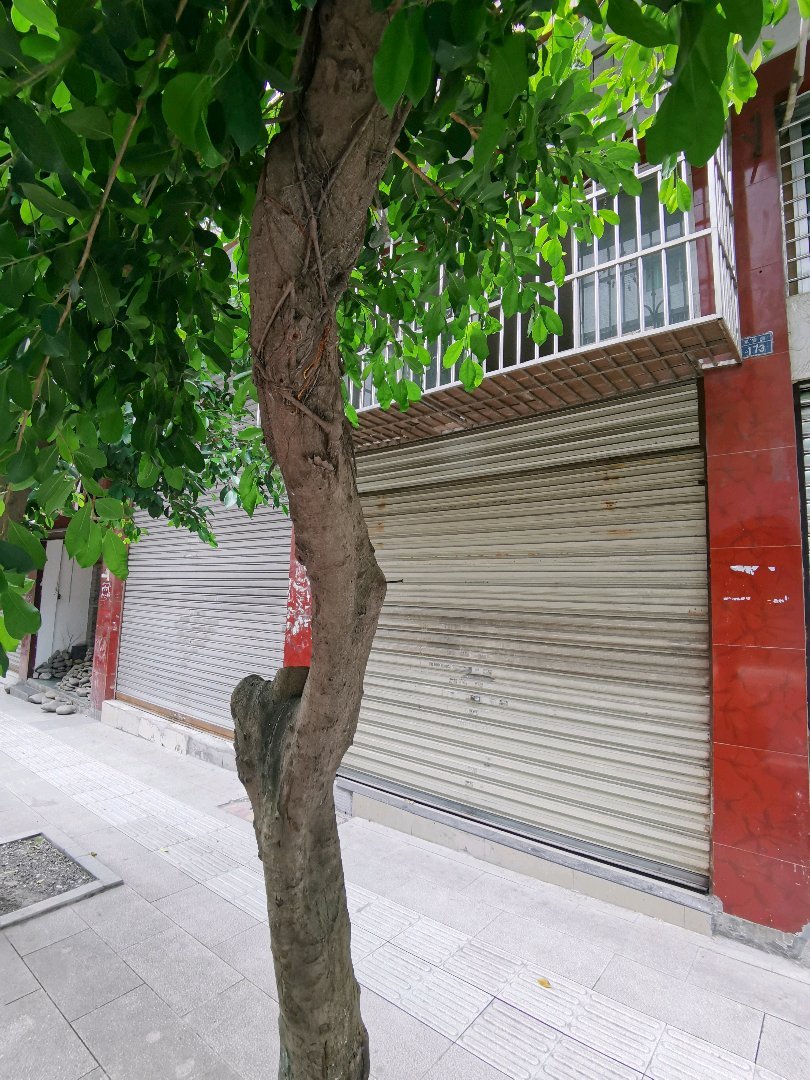 机房街,周转急用钱,好房特卖,仅售26万元 决不食言8