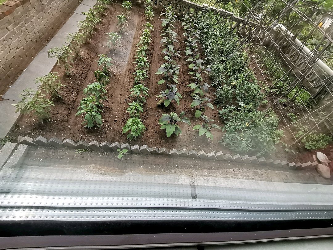幸福e家,幸福e家两室两厅有菜地停卖4