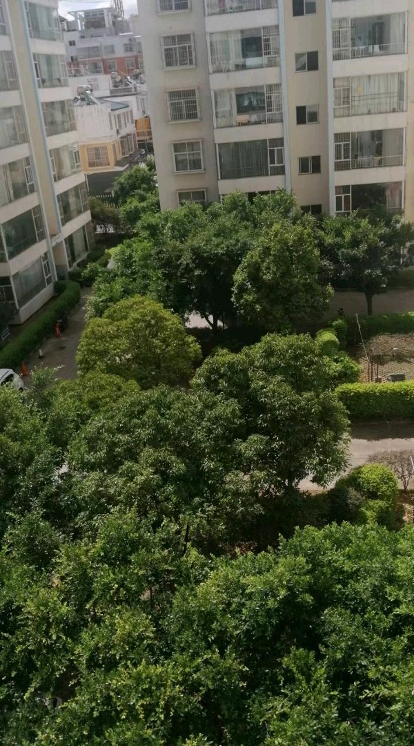 盘龙云海小区二手房出售