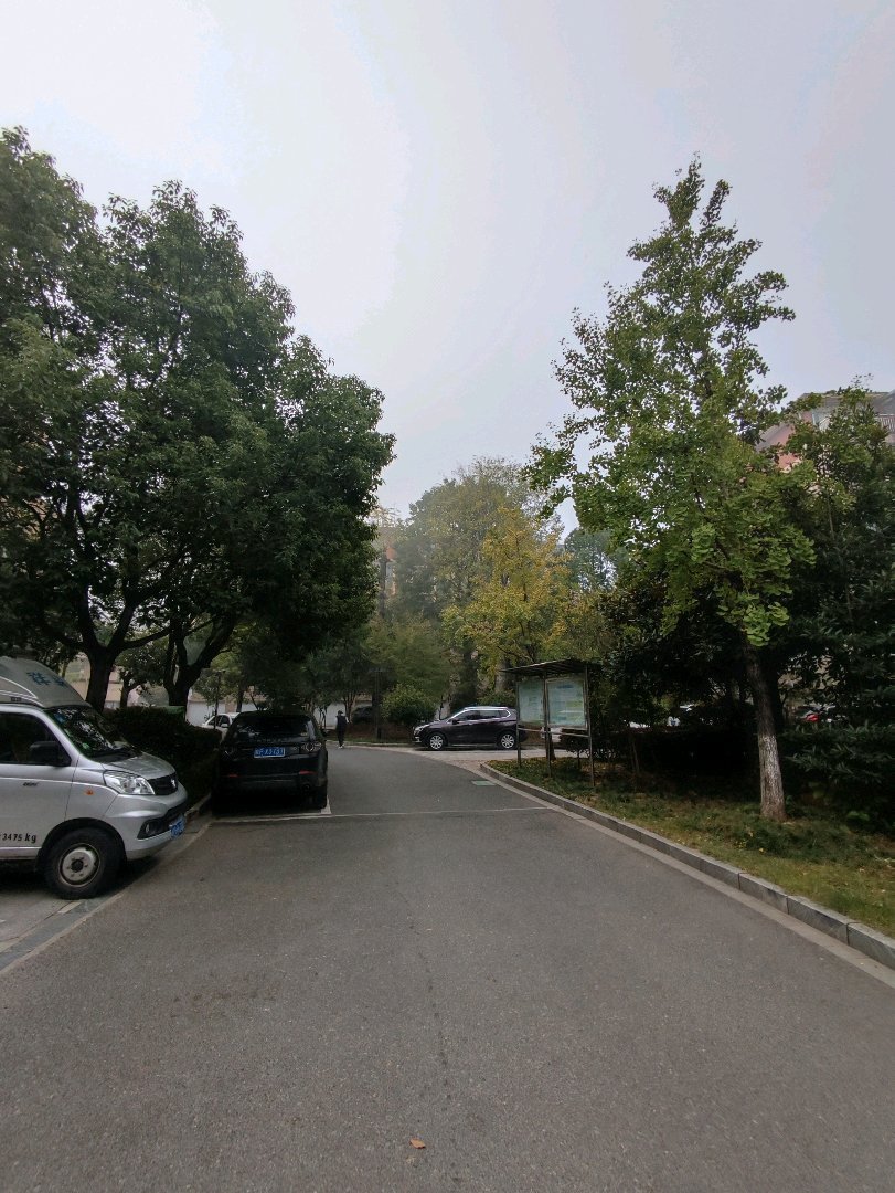 江景郦城,江景郦城金三楼,带阳光房,沿河景观,免税6