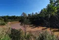 中石坝水库里面500亩山林出租出售2
