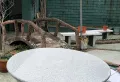 3室3厅2卫2阳台1600元/月正规高性价比。带花园出租。13
