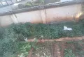鑫康园,底商别墅整栋出租,别墅精装修,下面可办工上面可以住30