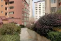 七中旁带家具家电拎包入户11