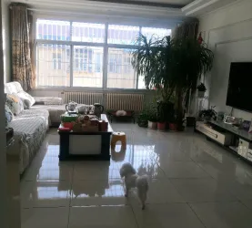 高密市-高密-农丰小区