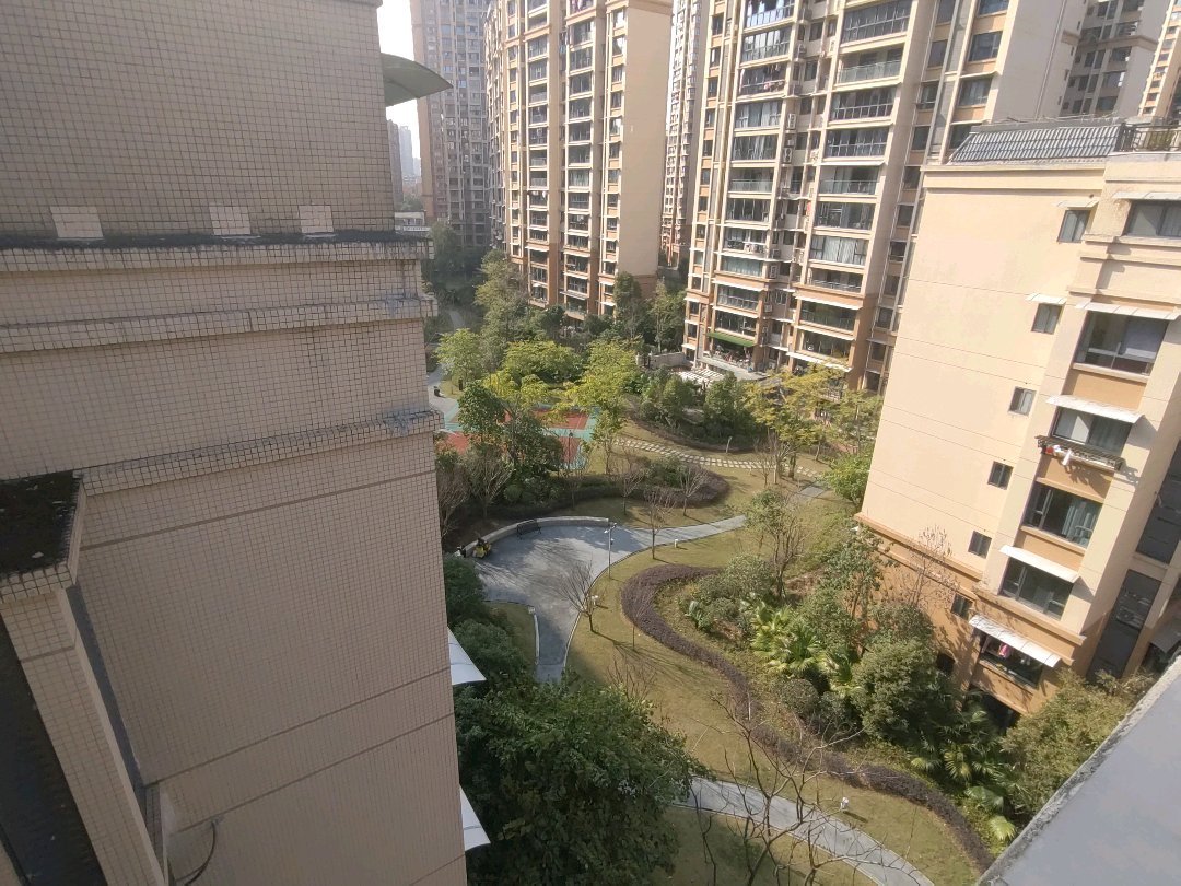 晶泽华府,南湖精装顶跃 5室满足一大家的需求14