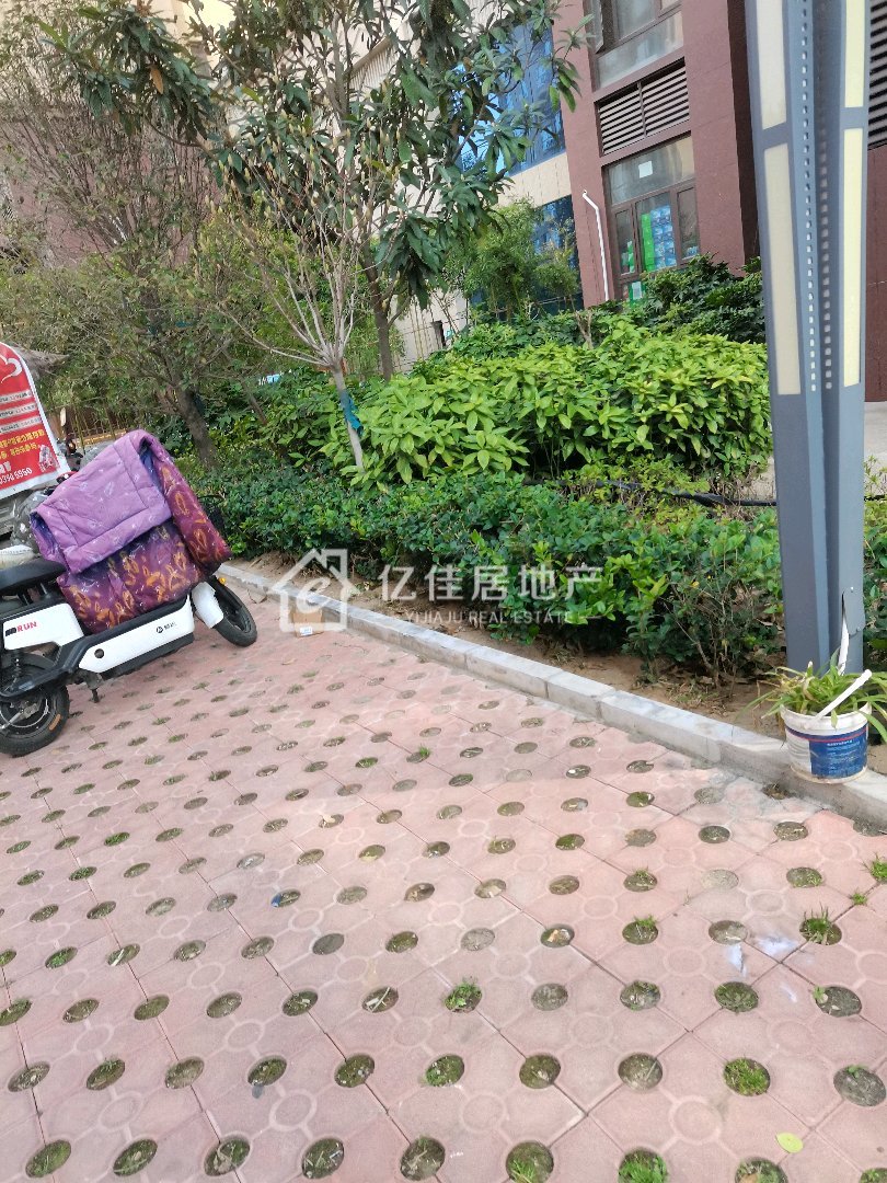 金桂园,拎包入住!30多个精装修!四叶草户型!双通大阳台!16