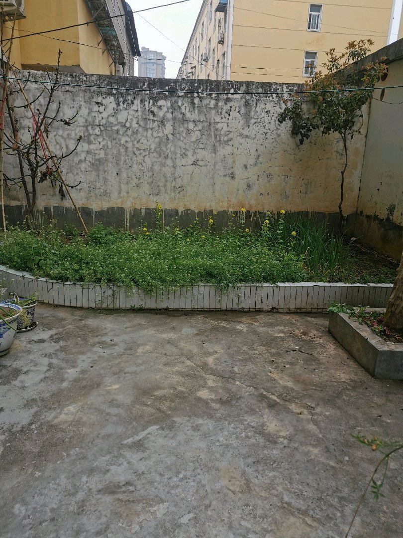 京都公寓,汤买赵老干部家属院,一楼带院60平,采光很好,带有储藏室4