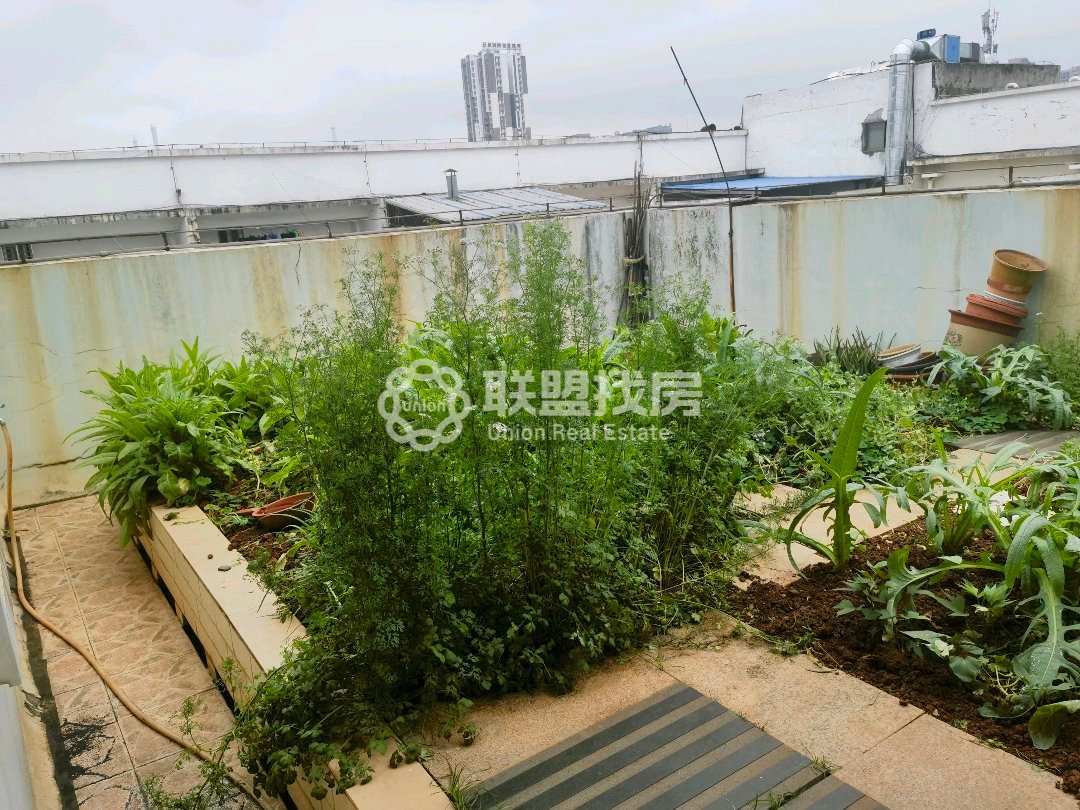 廊景园,朗景园,复式楼中楼,带露台花园15