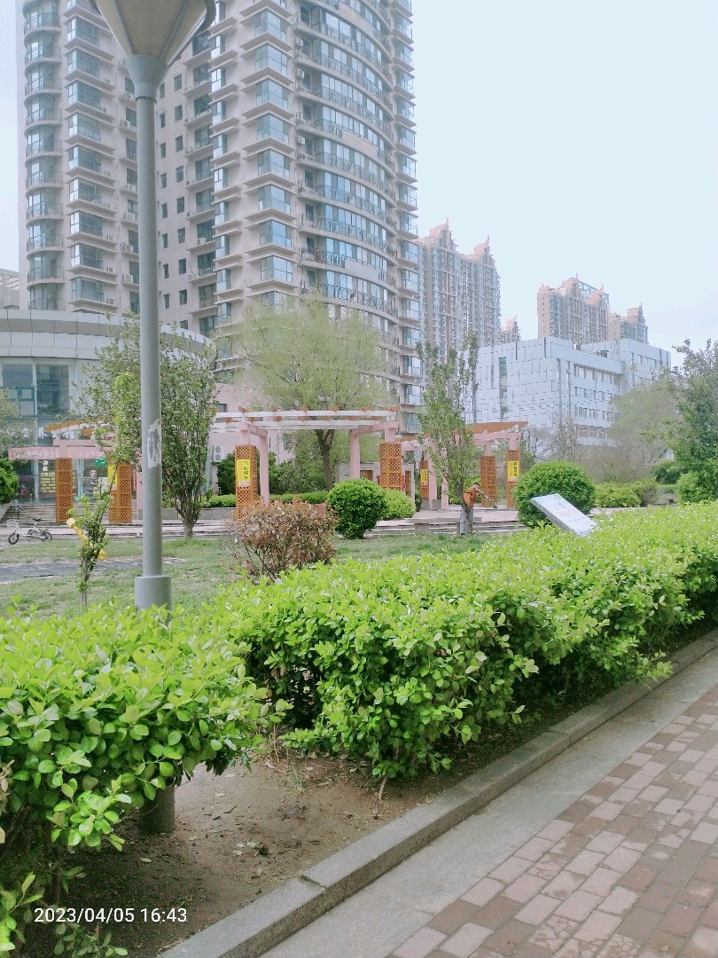 帝景苑,帝景苑稀有一楼带院精装三居室15
