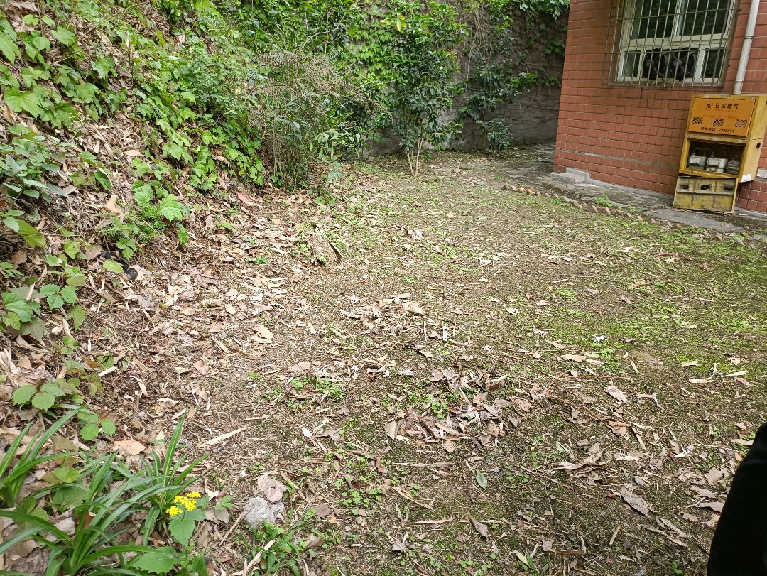 山水名苑临湖,山水名苑临湖,一楼可做生意12