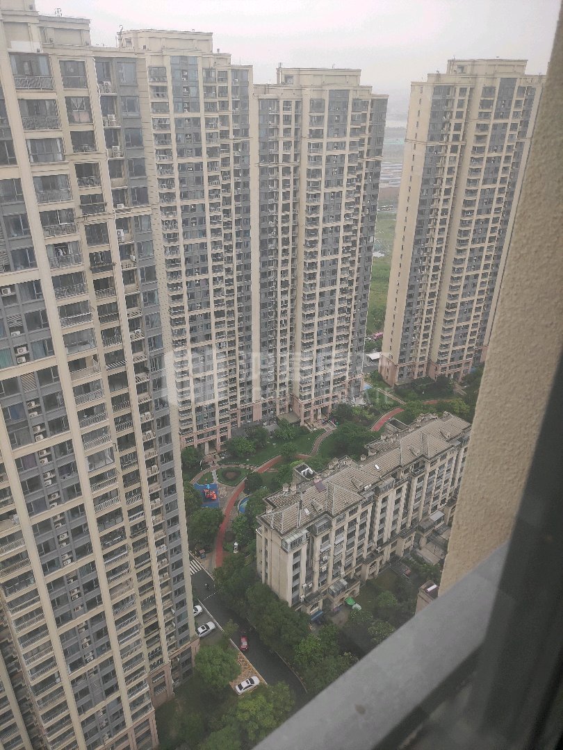 绿地玫瑰城,阳光全天候真实房源信息11