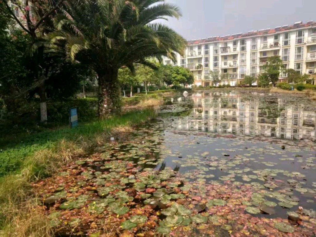 零柒家园,环境优雅,交通便利…1