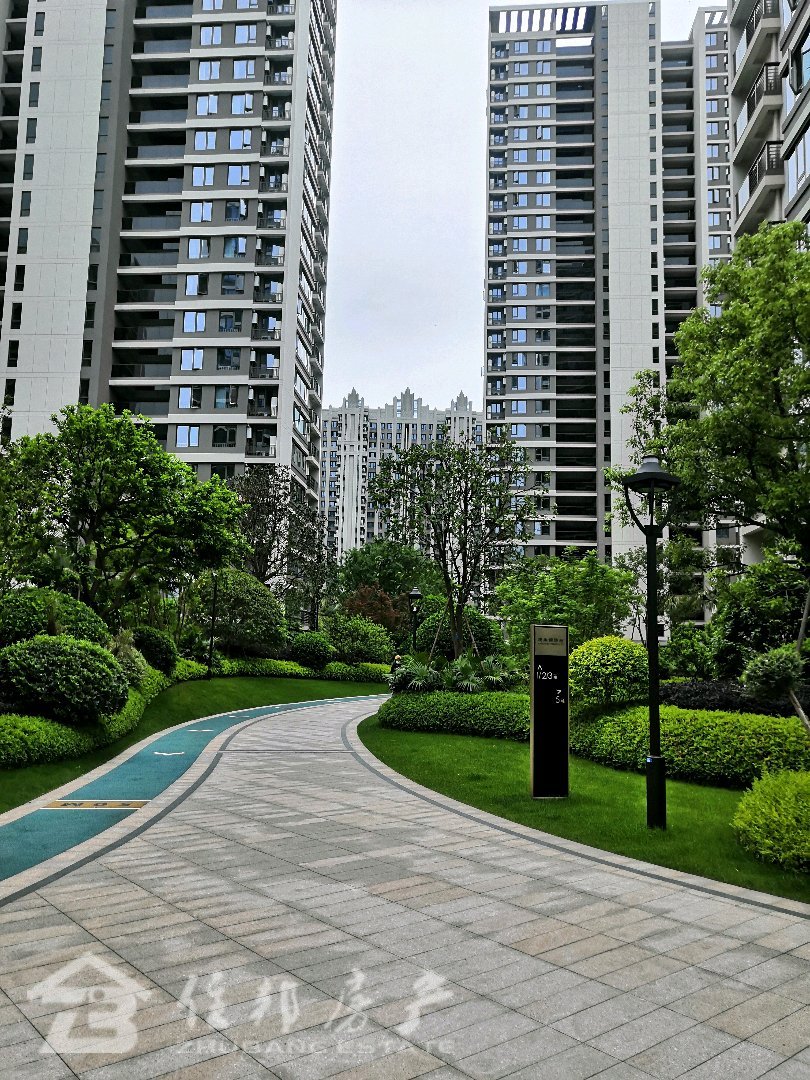 庆丰拥涛府,房东诚心卖,带车位总价510万14