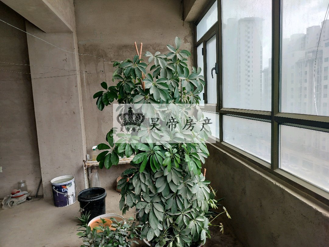 银凤苑,银凤苑电梯房,两室两厅一卫,南北通透,毛坯,房东随时配合9