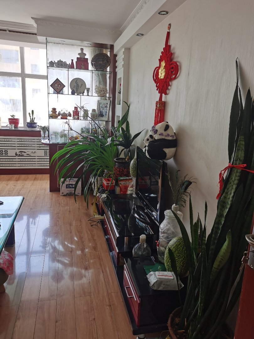 老教育局家属院,老教育局两室一厅一卫7
