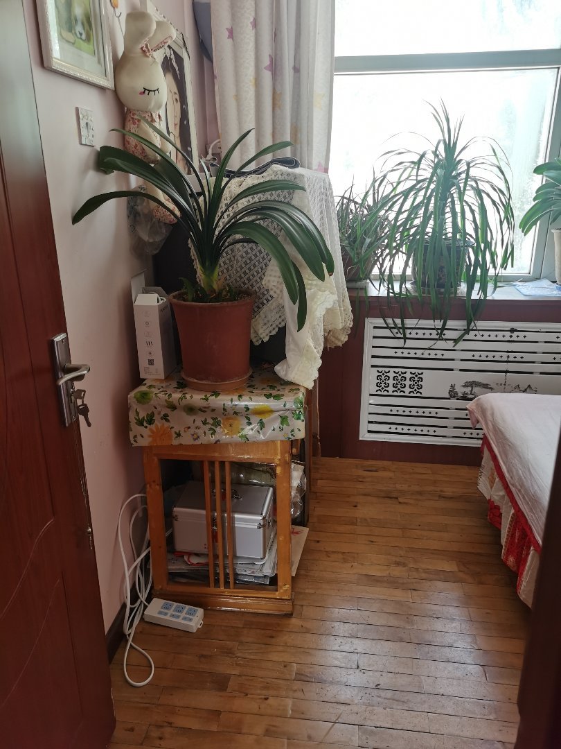 老教育局家属院,老教育局两室一厅一卫4