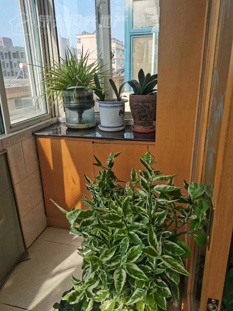 汾矿花苑西区,好楼层,新装价格实惠!!9